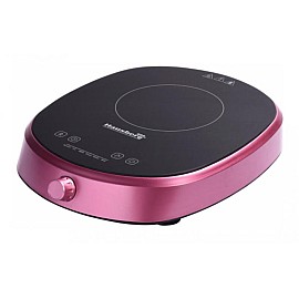 Плита индукционная Hausberg HB-1527RZ 