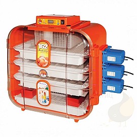 Инкубатор автоматический для яиц Novital Covatutto 162 Automatica