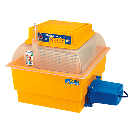 Инкубатор автоматический для яиц Novital Covatutto 24 Eco Automatica 