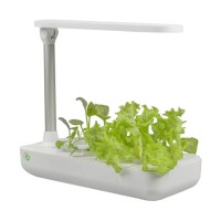 Проращиватель (гидропоника) Vegebox™ by BioChef - Table Box 