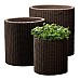 Горшок для цветов Keter (Израиль) Cylinder Planter Large коричневый