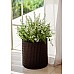 Горшок для цветов Keter (Израиль) Cylinder Planter Small коричневый