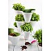 Горшок для цветов Keter (Израиль) IVY Planter