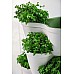Горшок для цветов Keter (Израиль) IVY Planter