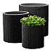 Горшок для цветов Keter (Израиль) Cylinder Planter Small серый