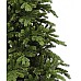 Ель Nottingham de Luxe TriumphTree (Голландия), 215 см