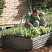 Грядка для растений Keter (Израиль) Garden Bed черная