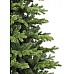 Ель Sherwood de Luxe TriumphTree (Голландия), 185 см 