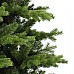 Ель Sherwood de Luxe TriumphTree (Голландия), 3.65 м.