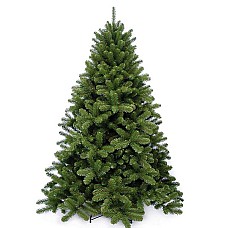 Ель Scandia TriumphTree (Голландия), 200 см 