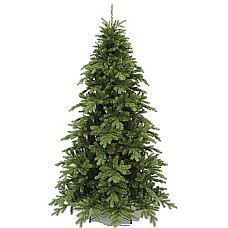 Ель Nottingham de Luxe TriumphTree (Голландия), 215 см
