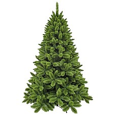 Ель Camden TriumphTree (Голландия), 230 см 