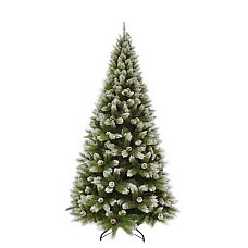 Сосна Pittsburgh TriumphTree (Голландия) зеленая иней шишки, 2.30 м Сосна Pittsburgh TriumphTree (Голландия) зеленая иней шишки, 2.30 м