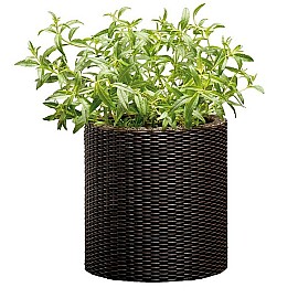 Горшок для цветов Keter (Израиль) Cylinder Planter Small коричневый