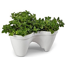 Горшок для цветов Keter (Израиль) IVY Planter