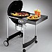 Угольный гриль Weber Performer GBS