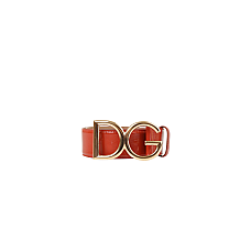 Жіночий пояс Dolce & Gabbana Orange BE1331AA62380244