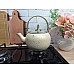 Чайник 1 л. OMS 8212-S-Ivory