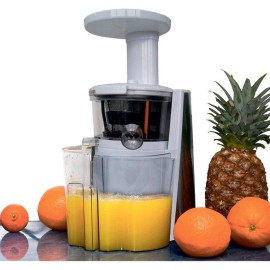 Шнековая соковыжималка Hilton AE 3162 White