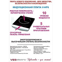 Индукционная плита VES V-HP6