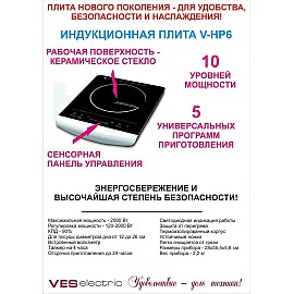 Индукционная плита VES V-HP6