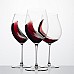 Набір (2 шт) келихів для червоного вина Syrah 0,6 л Riedel 6449 / 41