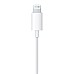 Навушники APPLE EarPods with Lightning Connector (MMTN2ZM/A)