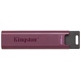 Flash Drive Kingston 256GB USB-A 3.2 Gen 1 DT Max (DTMAXA / 256GB)