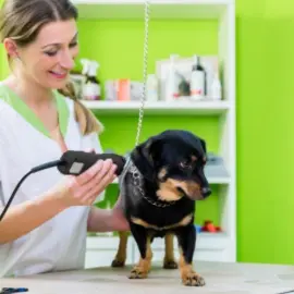 Машинка для стрижки тварин Adler AD 2828