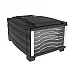 Сушарка для овочів та фруктів BioChef Arizona 6 Tray Food Dehydrator 