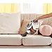 Пилосос акумуляторний Gorenje SVC219FMW