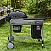 Угольный гриль Weber Performer Deluxe GBS