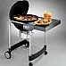 Угольный гриль Weber Performer GBS