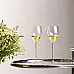 Набір келихів (2 шт) для шампанського 0,327 л Riedel 6330/28