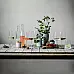 Келих для ігристого вина Light & Fresh Sparkling Schott Zwiesel 122430 0,388 л