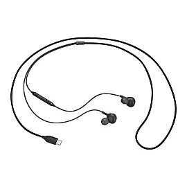 Гарнитура SAMSUNG EO-IC100 USB Type-C Black