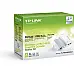 Комплект адаптерiв TP-LINK TL-WPA4220KIT (TL-WPA4220 1шт, TL-PA4010 1шт)